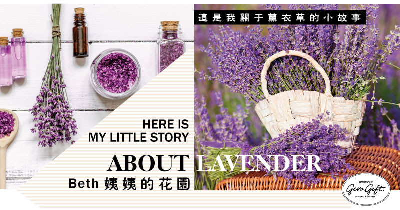 Here is my little story about lavender